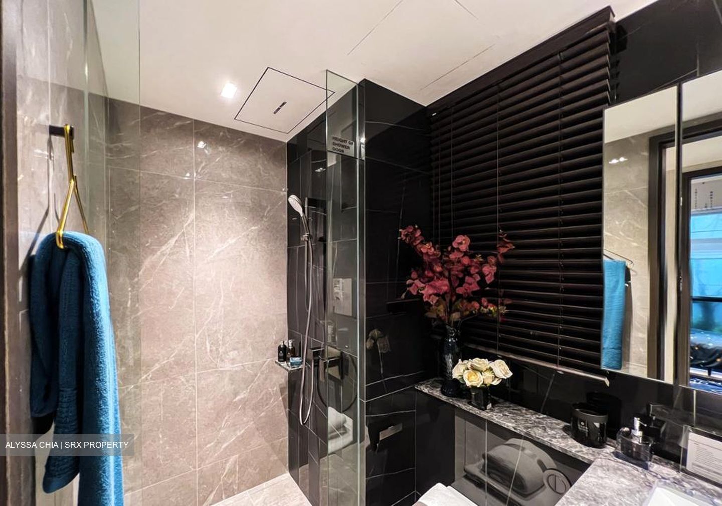 Queens Peak (D3), Condominium #496891981
